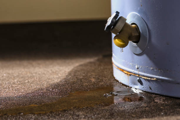 Best Ceiling water damage repair  in Colstrip, MT