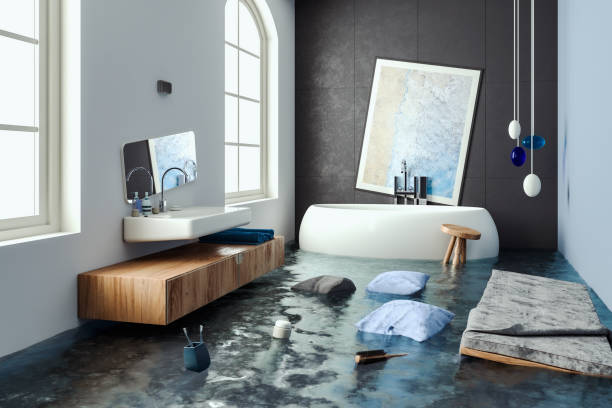 Best Professional water damage repair  in Colstrip, MT