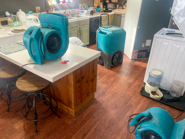 Best Water damage contractors near me  in Colstrip, MT