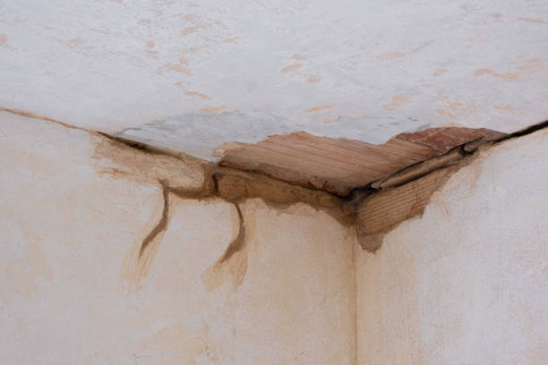 Best 24-hour water damage restoration  in Colstrip, MT