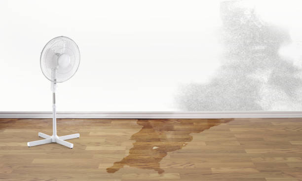 Best Water damage restoration near me  in Colstrip, MT