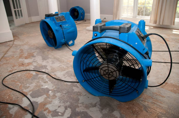 Best 24/7 water damage repair  in Colstrip, MT