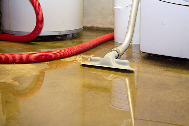 Best Flood restoration services  in Colstrip, MT