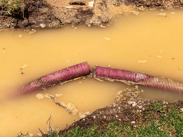Best Carpet water damage restoration  in Colstrip, MT