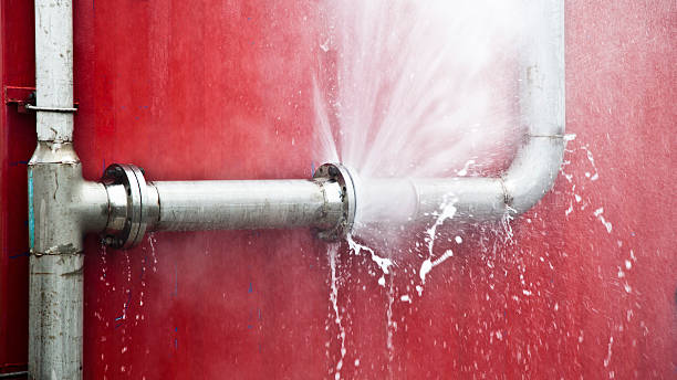 Best Water damage contractors near me  in Colstrip, MT